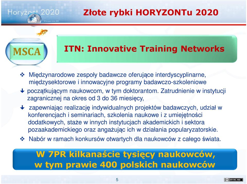 Zatrudnienie w instytucji zagranicznej na okres od 3 do 36 miesięcy, zapewniając realizację indywidualnych projektów badawczych, udział w konferencjach i seminariach, szkolenia