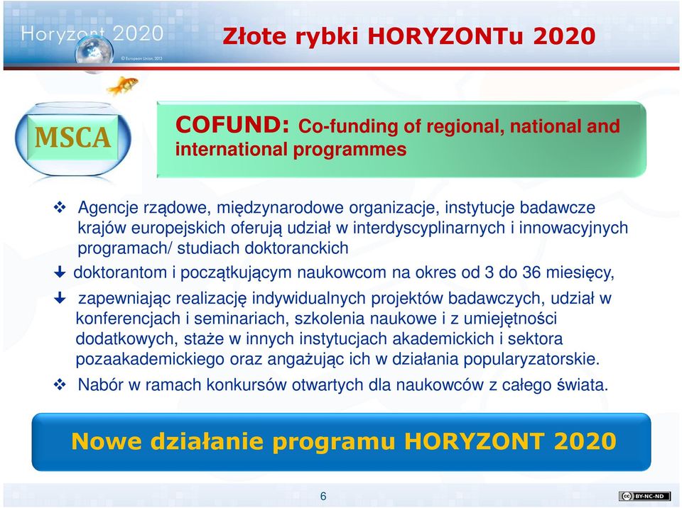 zapewniając realizację indywidualnych projektów badawczych, udział w konferencjach i seminariach, szkolenia naukowe i z umiejętności dodatkowych, staże w innych instytucjach