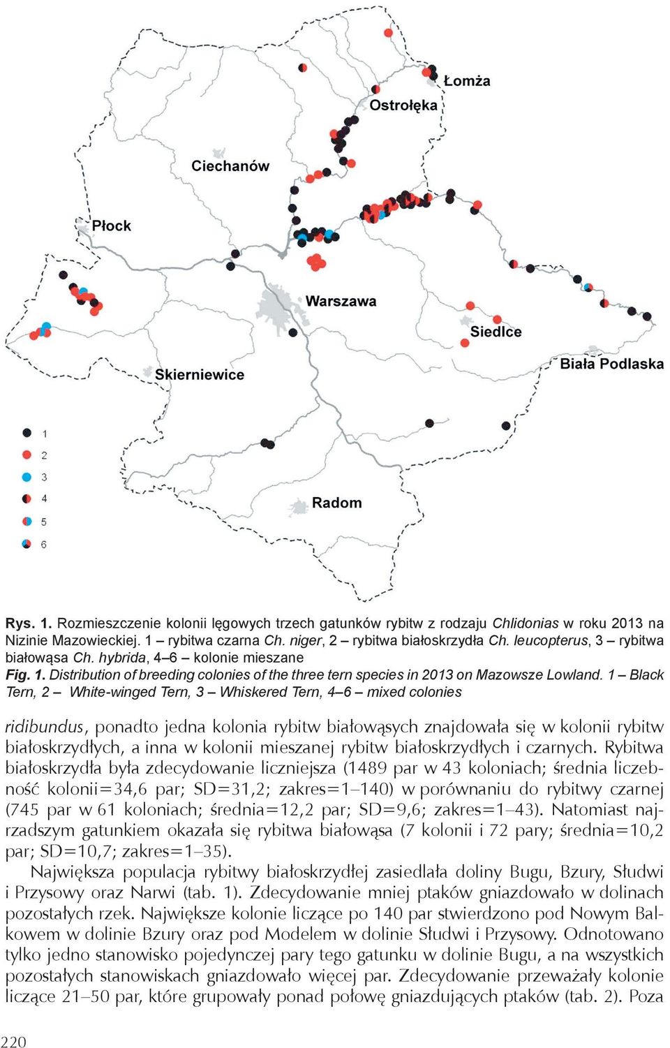 1 Black Tern, 2 White-winged Tern, 3 Whiskered Tern, 4 6 mixed colonies ridibundus, ponadto jedna kolonia rybitw białowąsych znajdowała się w rybitw białoskrzydłych, a inna w mieszanej rybitw
