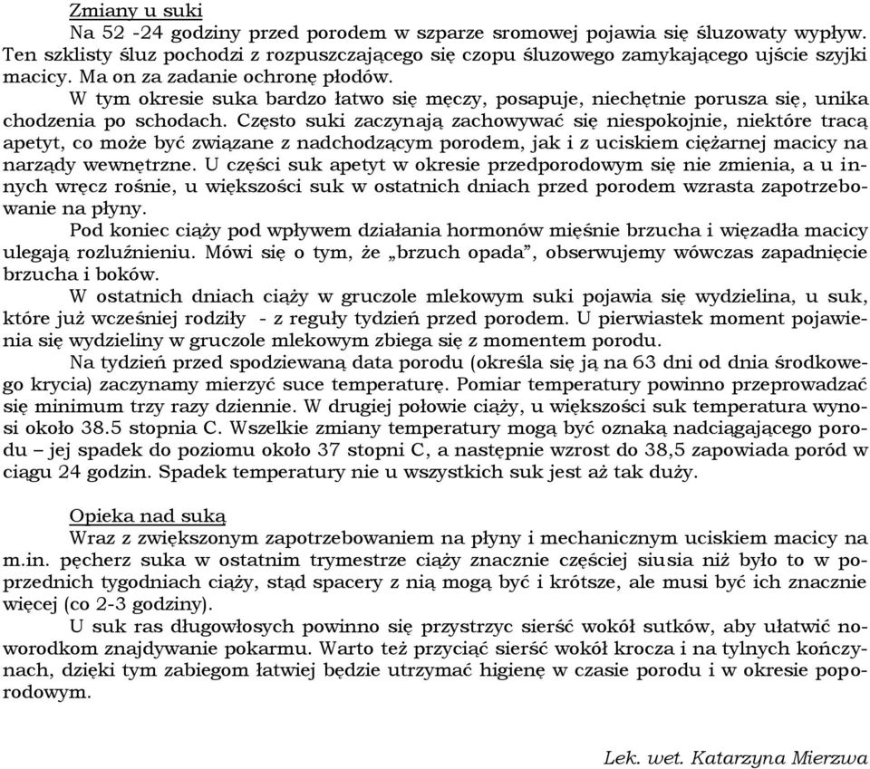 Często suki zaczynają zachowywać się niespokojnie, niektóre tracą apetyt, co może być związane z nadchodzącym porodem, jak i z uciskiem ciężarnej macicy na narządy wewnętrzne.