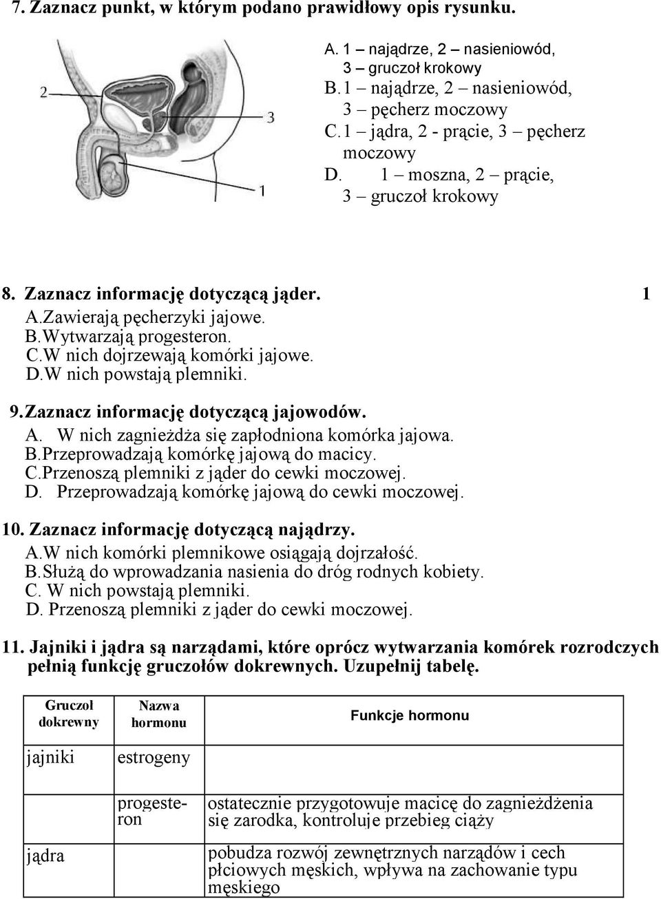 9. Zaznacz informację dotyczącą jajowodów. A. W nich zagnieŝdŝa się zapłodniona komórka jajowa. B. Przeprowadzają komórkę jajową do macicy. C. Przenoszą plemniki z jąder do cewki moczowej. D.