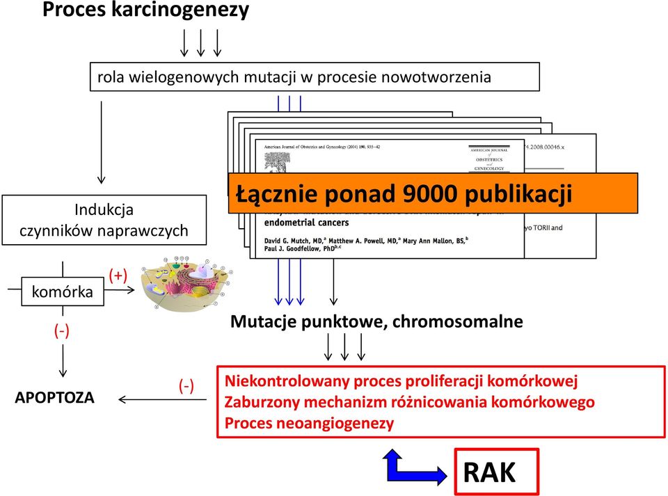 Mutacje punktowe, chromosomalne APOPTOZA (-) Niekontrolowany proces