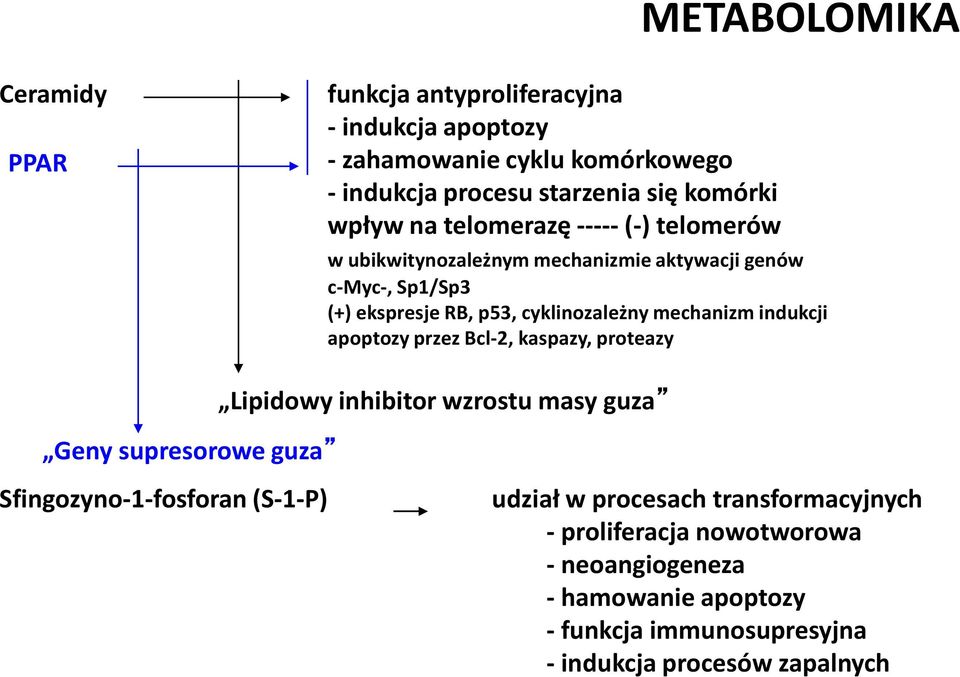 mechanizm indukcji apoptozy przez Bcl-2, kaspazy, proteazy Geny supresorowe guza Lipidowy inhibitor wzrostu masy guza Sfingozyno-1-fosforan (S-1-P)