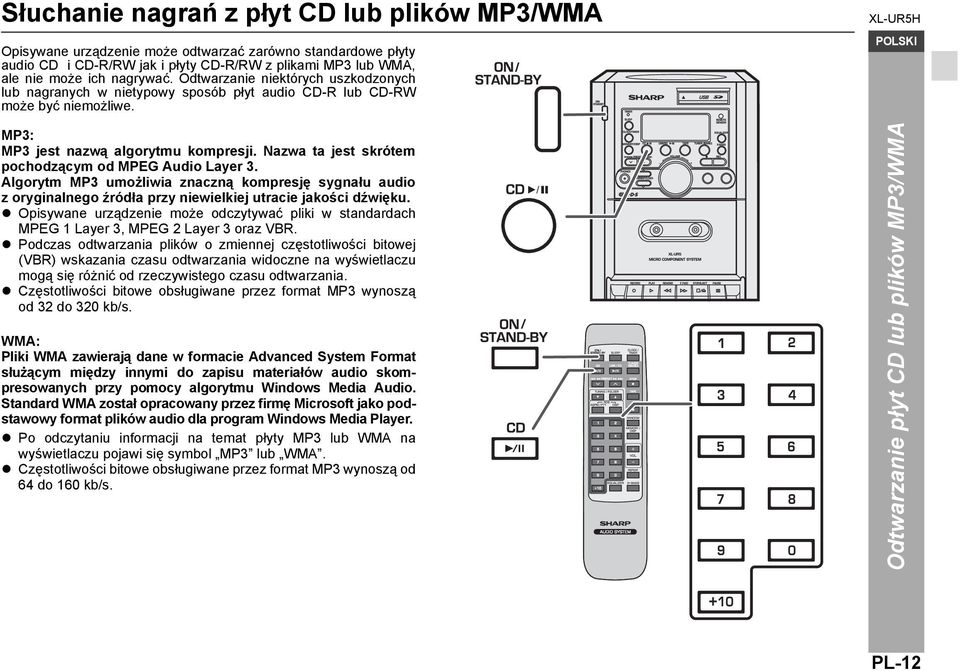 Nazwa ta jest skrótem pochodzącym od MPEG Audio Layer 3. Algorytm MP3 umożliwia znaczną kompresję sygnału audio z oryginalnego źródła przy niewielkiej utracie jakości dźwięku.
