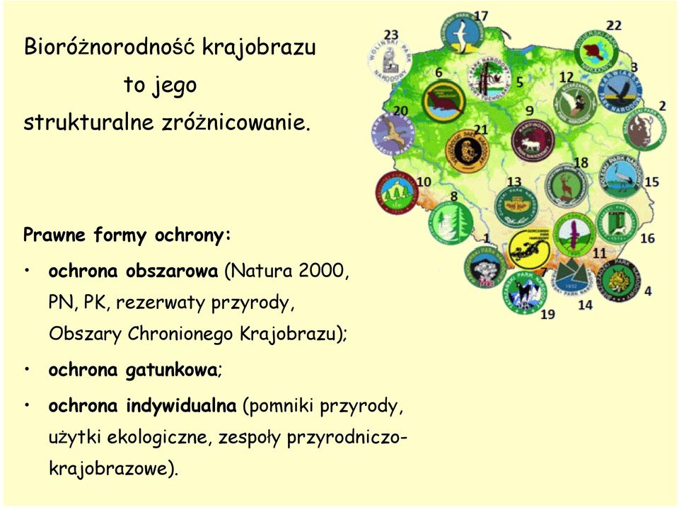 przyrody, Obszary Chronionego Krajobrazu); ochrona gatunkowa; ochrona