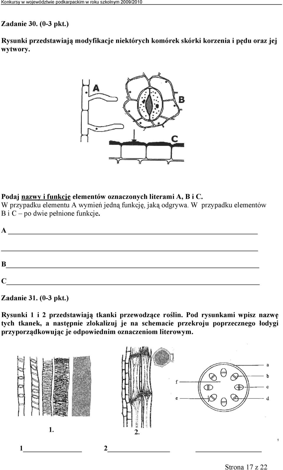 W przypadku elementów B i C po dwie pełnione funkcje. A B C Zadanie 31. (0-3 pkt.) Rysunki 1 i 2 przedstawiają tkanki przewodzące roślin.