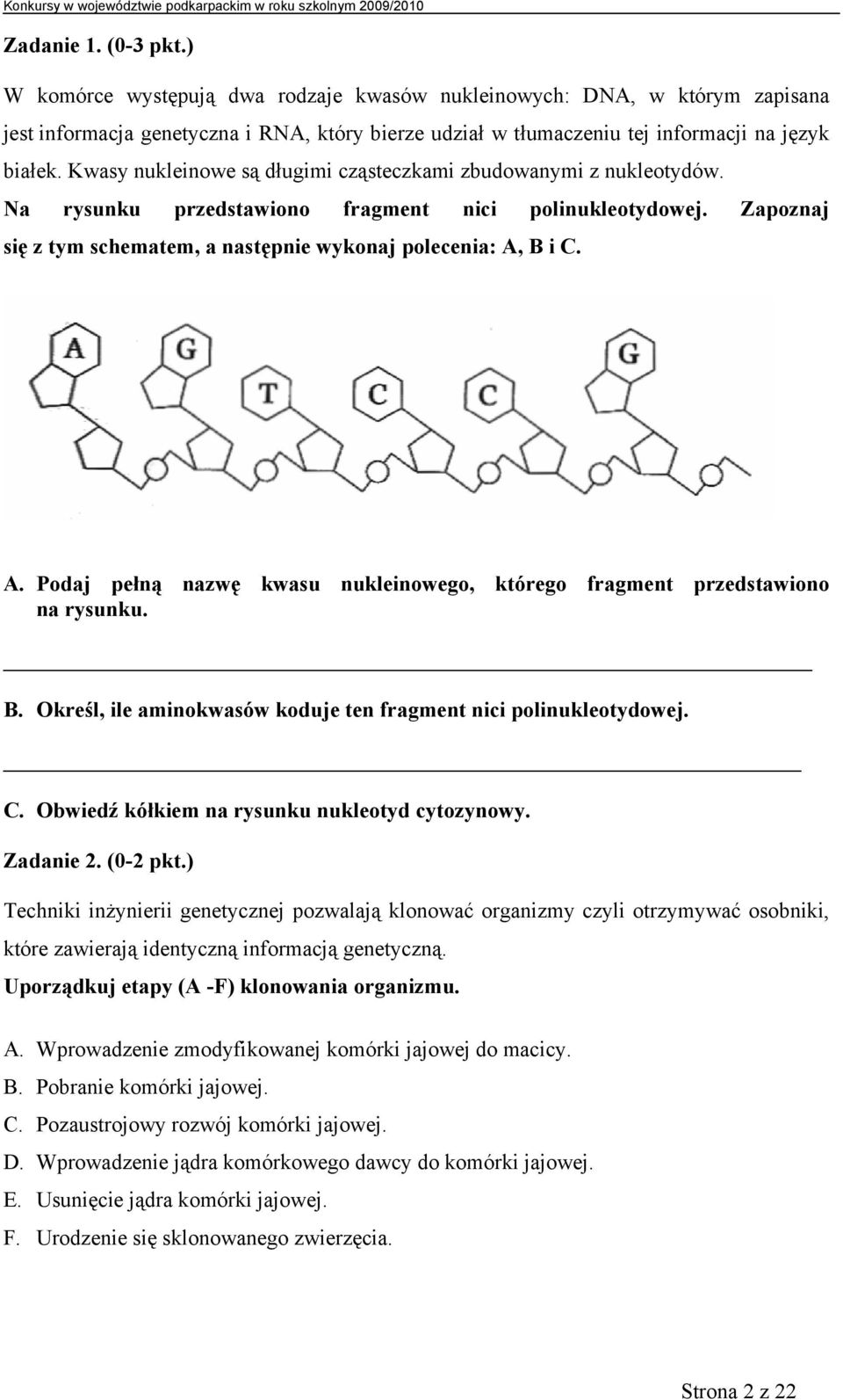 B i C. A. Podaj pełną nazwę kwasu nukleinowego, którego fragment przedstawiono na rysunku. B. Określ, ile aminokwasów koduje ten fragment nici polinukleotydowej. C. Obwiedź kółkiem na rysunku nukleotyd cytozynowy.
