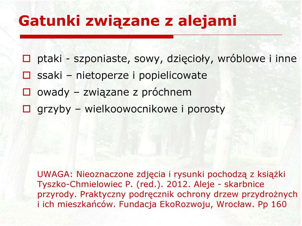 zdjęcia i rysunki pochodzą z książki Tyszko-Chmielowiec P. (red.). 2012. Aleje - skarbnice przyrody.