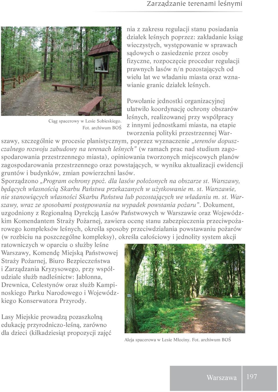 Powołanie jednostki organizacyjnej ułatwiło koordynację ochrony obszarów leśnych, realizowanej przy współpracy Ciąg spacerowy w Lesie Sobieskiego. z innymi jednostkami miasta, na etapie Fot.