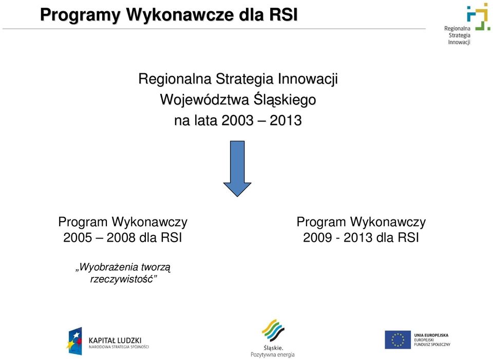 Program Wykonawczy 2005 2008 dla RSI Program