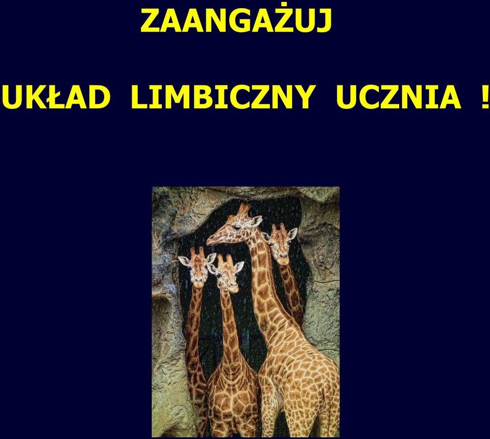 LIMBICZNY