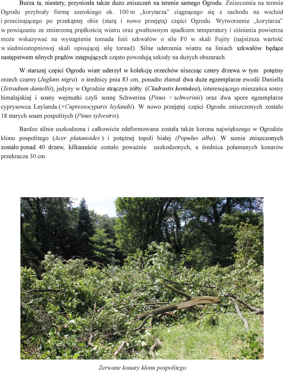 Wytworzenie korytarza w powiązaniu ze zmierzoną prędkością wiatru oraz gwałtownym spadkiem temperatury i ciśnienia powietrza może wskazywać na wystąpienie tornada linii szkwałów o sile F0 w skali