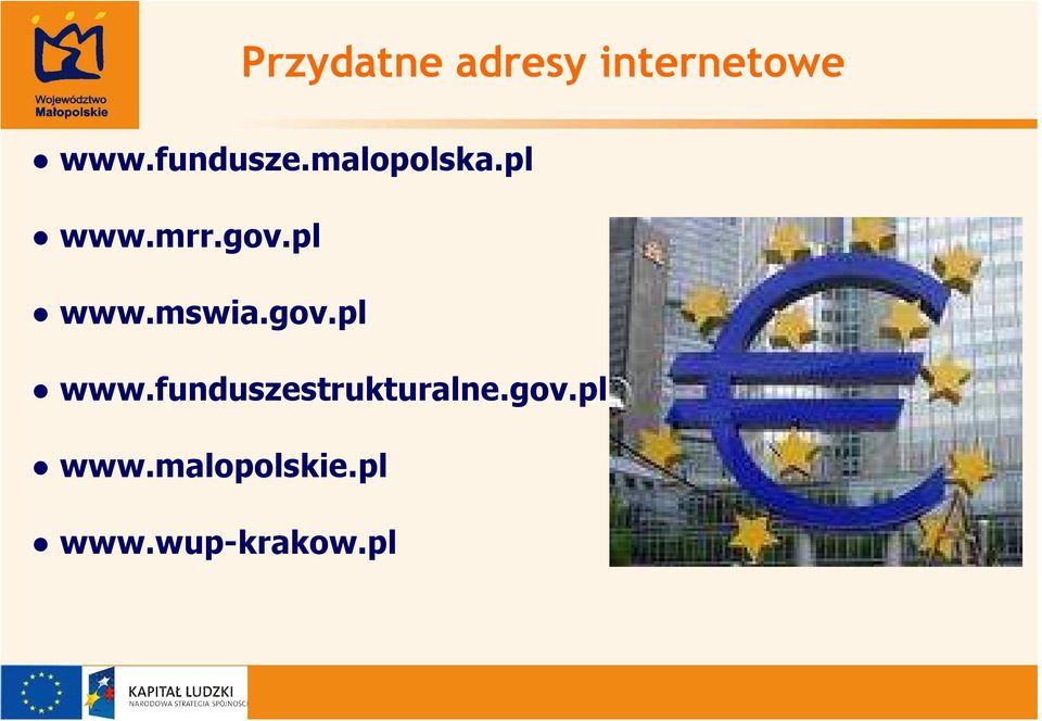 pl www.mswia.gov.pl www.funduszestrukturalne.