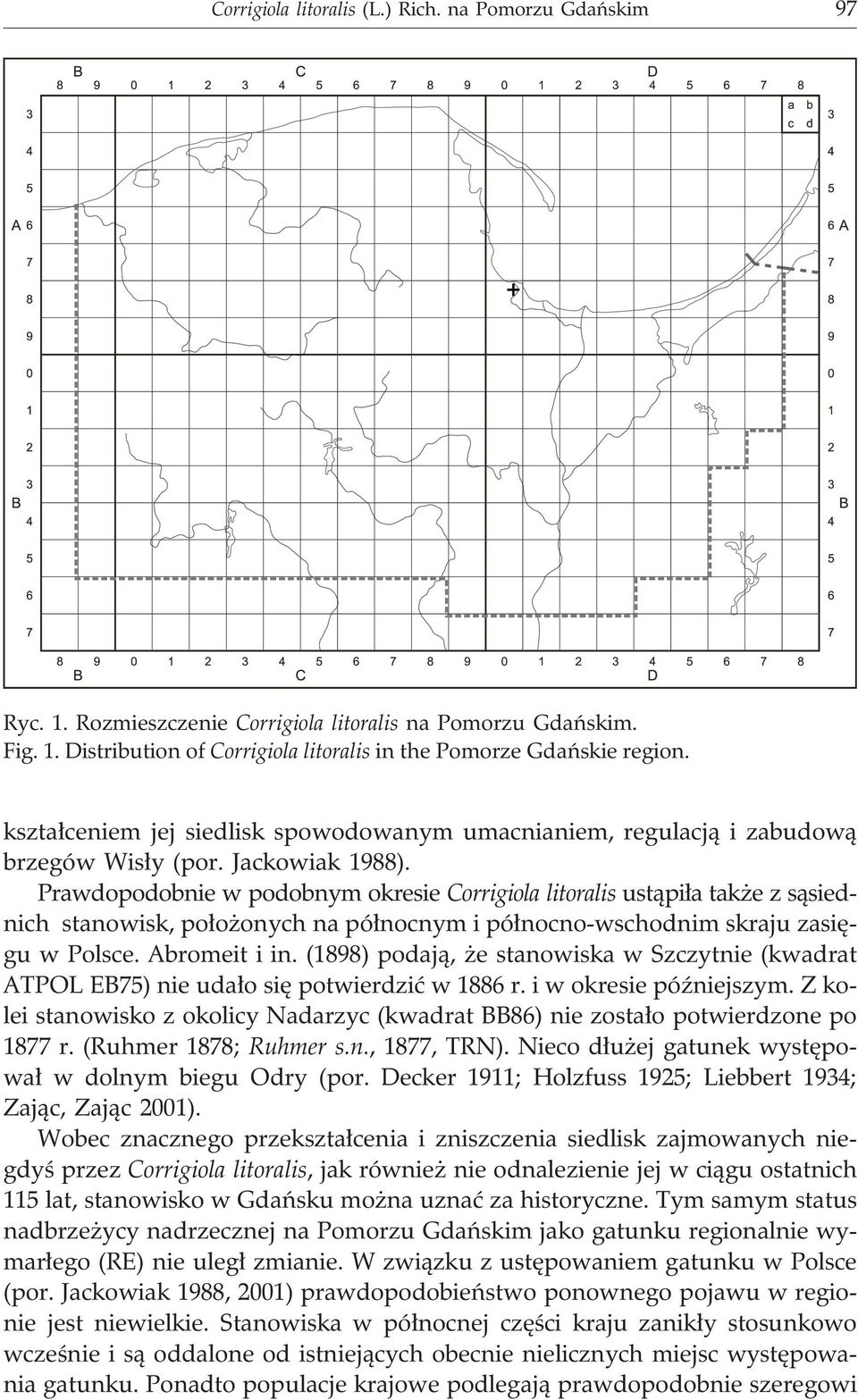 Prawdopodobnie w podobnym okresie Corrigiola litoralis ust¹pi³a tak e z s¹siednich stanowisk, po³o onych na pó³nocnym i pó³nocno-wschodnim skraju zasiêgu w Polsce. Abromeit i in.
