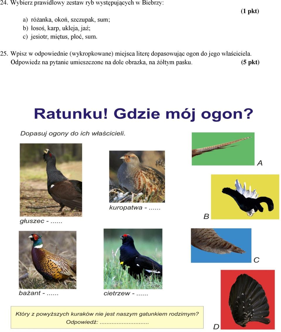 Wpisz w odpowiednie (wykropkowane) miejsca literę dopasowując ogon do jego