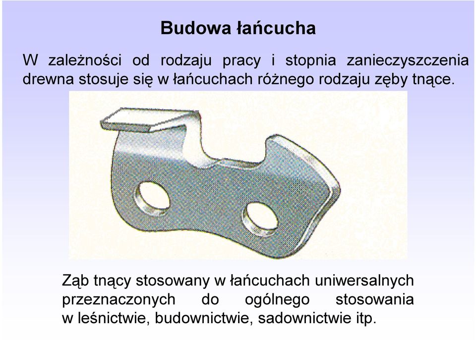 zęby tnące.