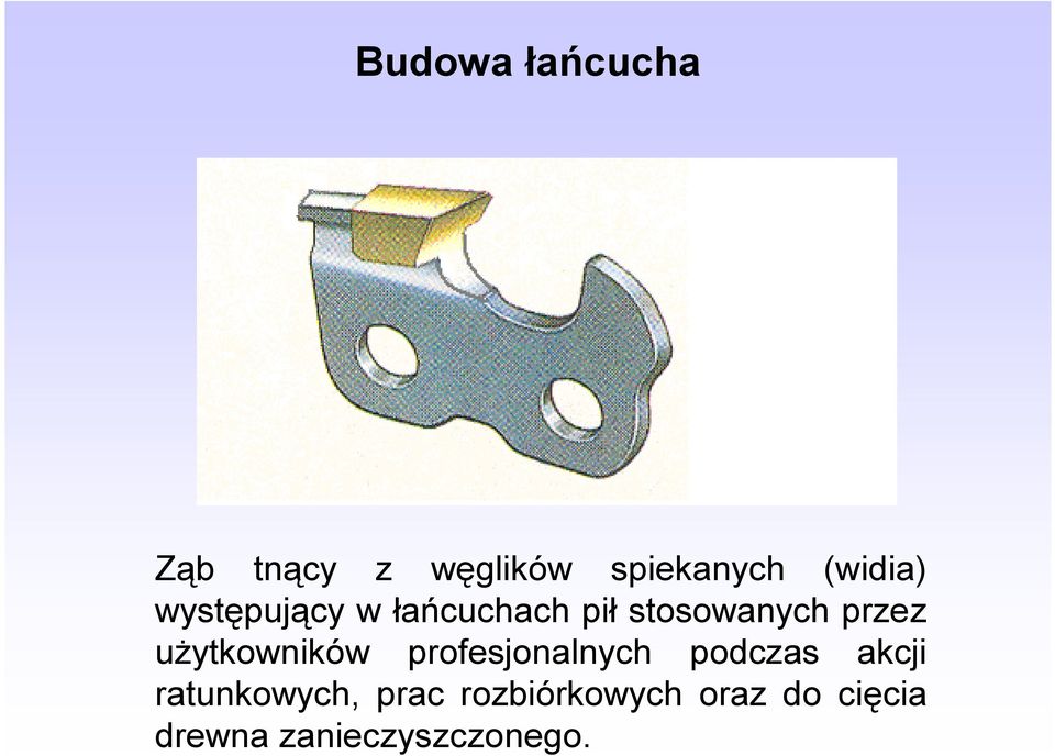 użytkowników profesjonalnych podczas akcji