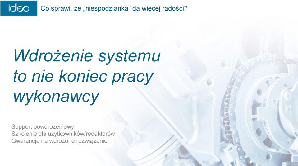 wykonawcy Support powdrożeniowy Szkolenie dla