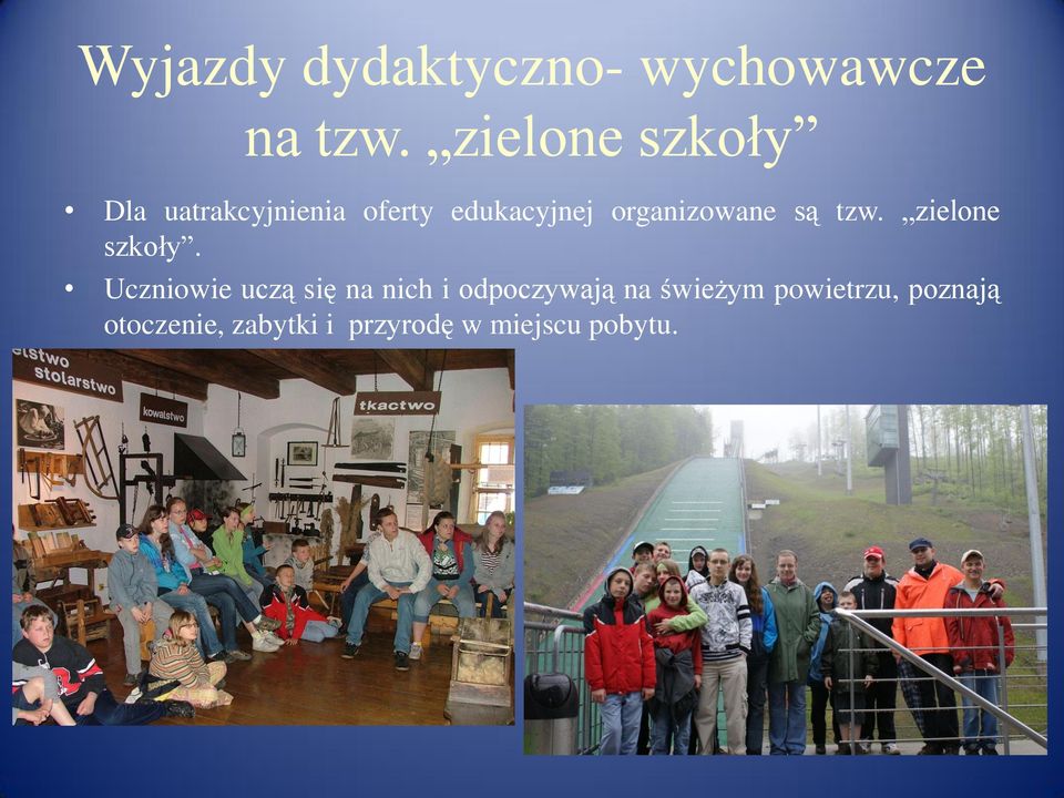 organizowane są tzw. zielone szkoły.