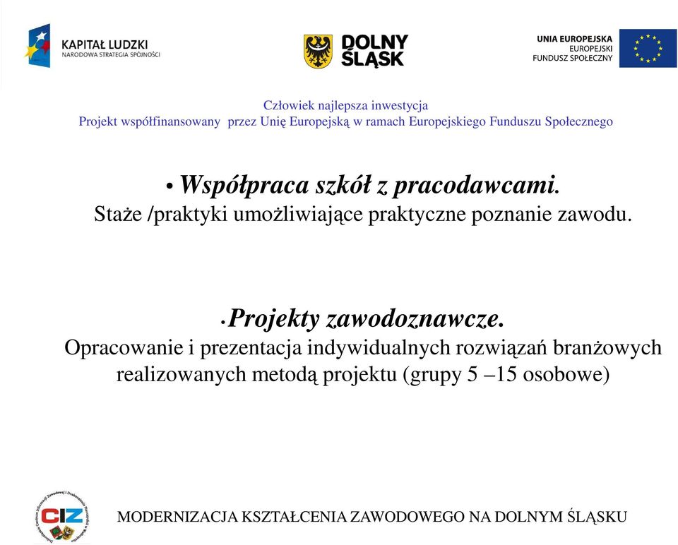 Projekty zawodoznawcze.