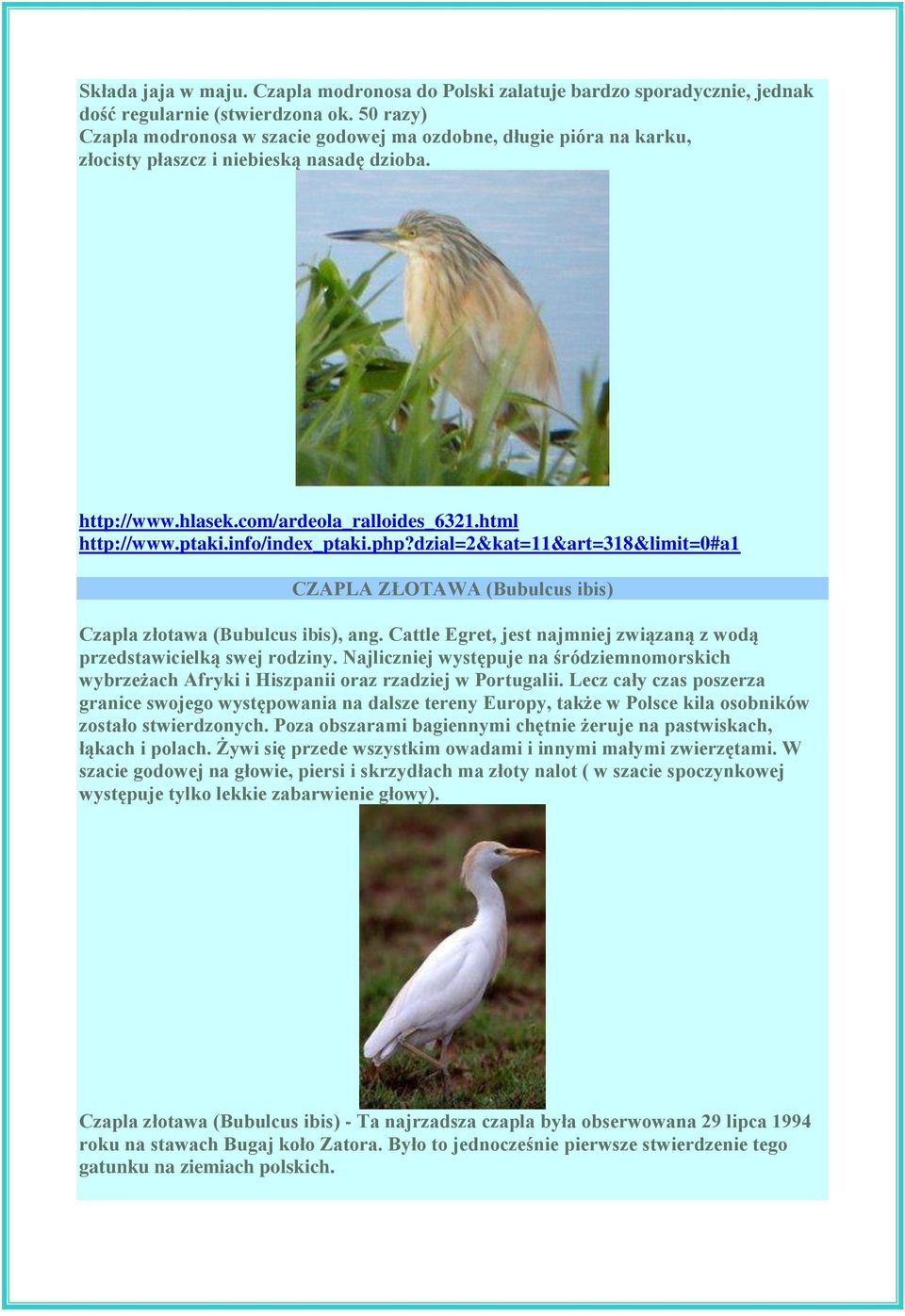 info/index_ptaki.php?dzial=2&kat=11&art=318&limit=0#a1 CZAPLA ZŁOTAWA (Bubulcus ibis) Czapla złotawa (Bubulcus ibis), ang. Cattle Egret, jest najmniej związaną z wodą przedstawicielką swej rodziny.