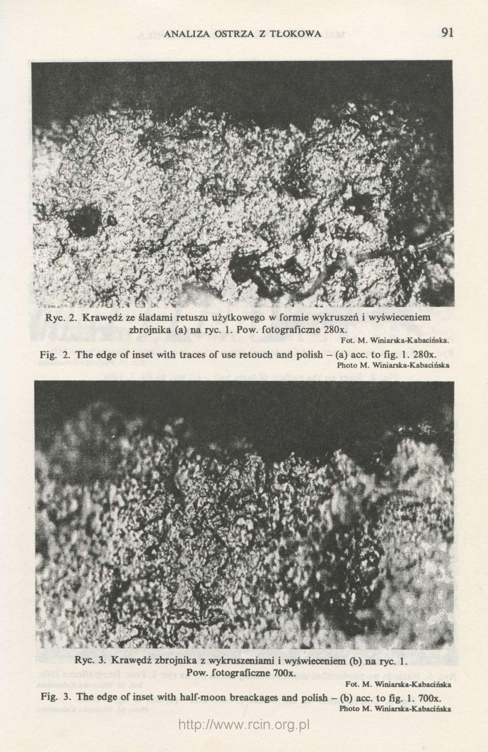 Fot. M. Winiarska-Kabacińska. Fig. 2. The edge of inset with traces of use retouch and polish - (a) acc. to fig. 1. 280x.
