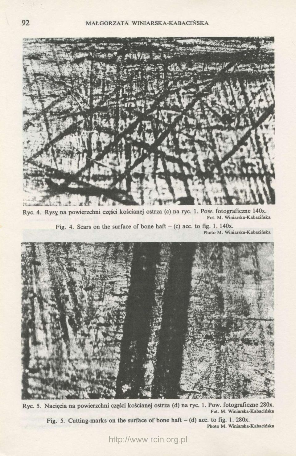 to fig. 1. 140x. Ryc. 5. Nacięcia na powierzchni części kościanej ostrza (d) na ryc. 1. Pow.