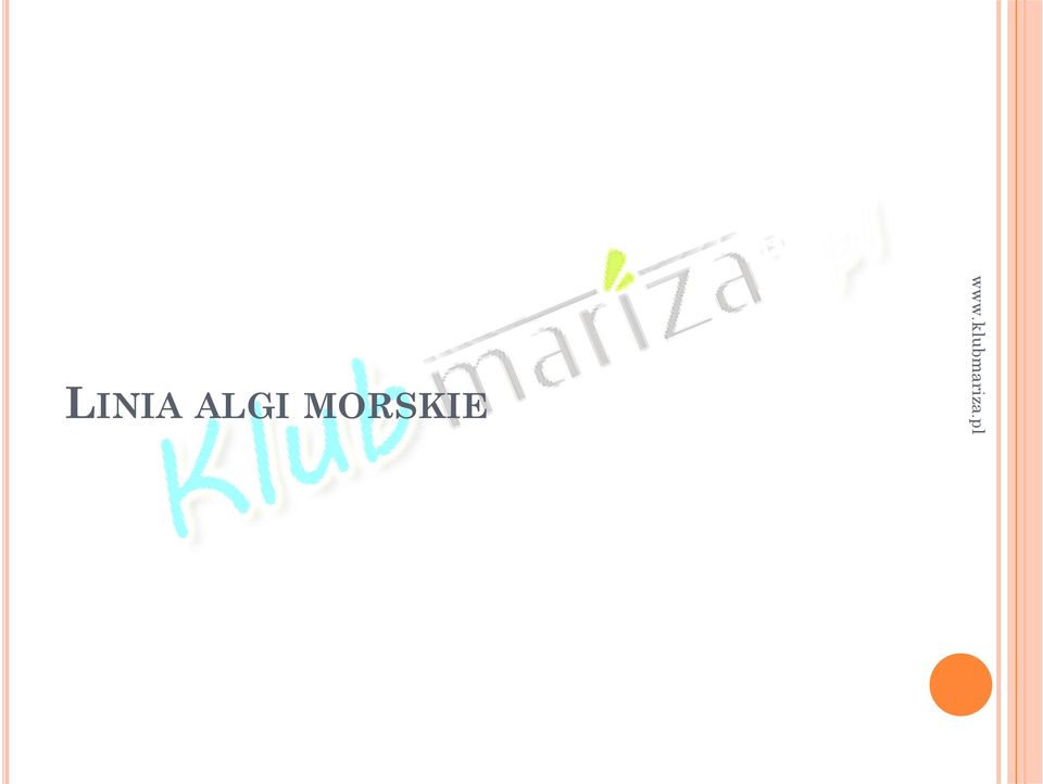 MORSKIE