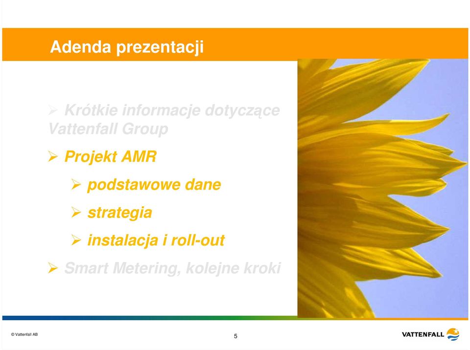 AMR podstawowe dane strategia
