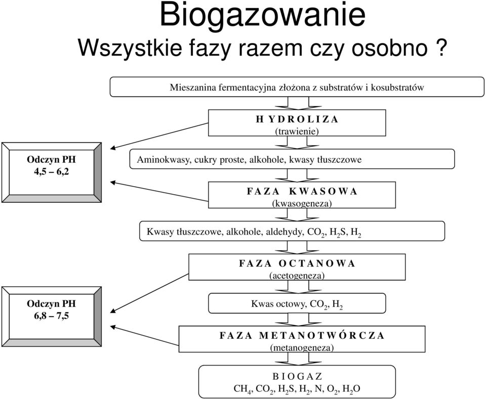Aminokwasy, cukry proste, alkohole, kwasy tłuszczowe F A Z A K W A S O W A (kwasogeneza) Kwasy tłuszczowe, alkohole,