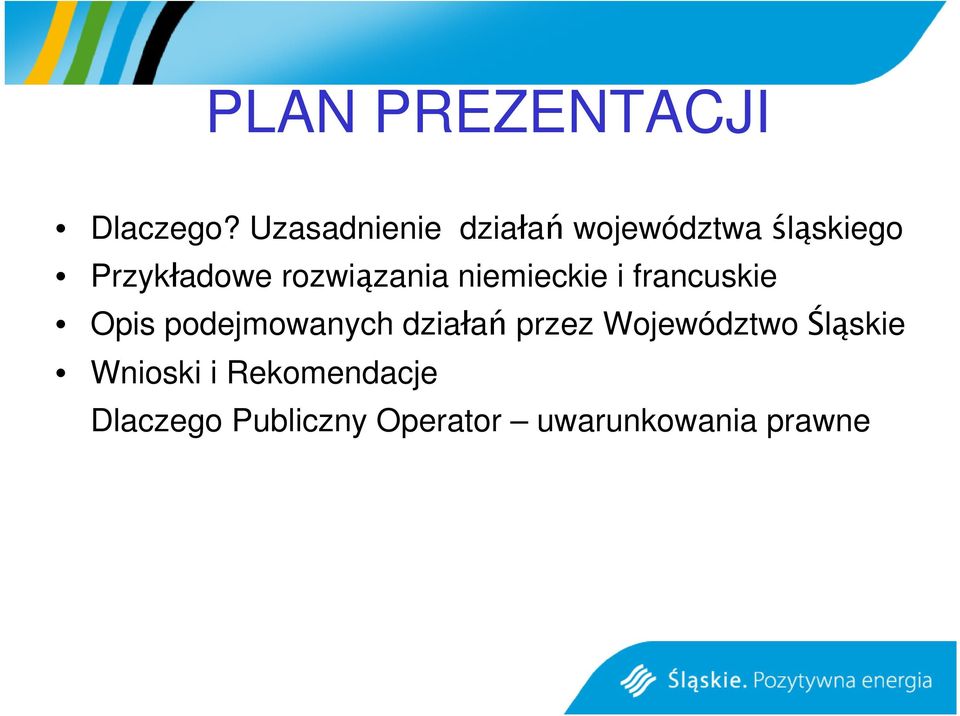 rozwiązania niemieckie i francuskie Opis podejmowanych