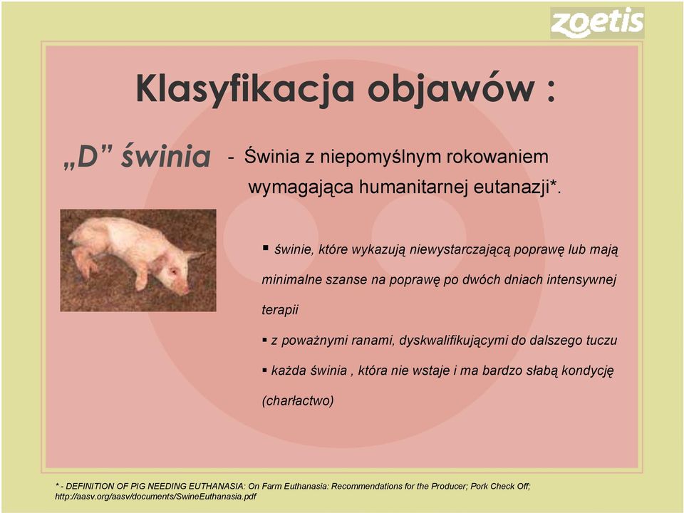 poważnymi ranami, dyskwalifikującymi do dalszego tuczu każda świnia, która nie wstaje i ma bardzo słabą kondycję (charłactwo) *