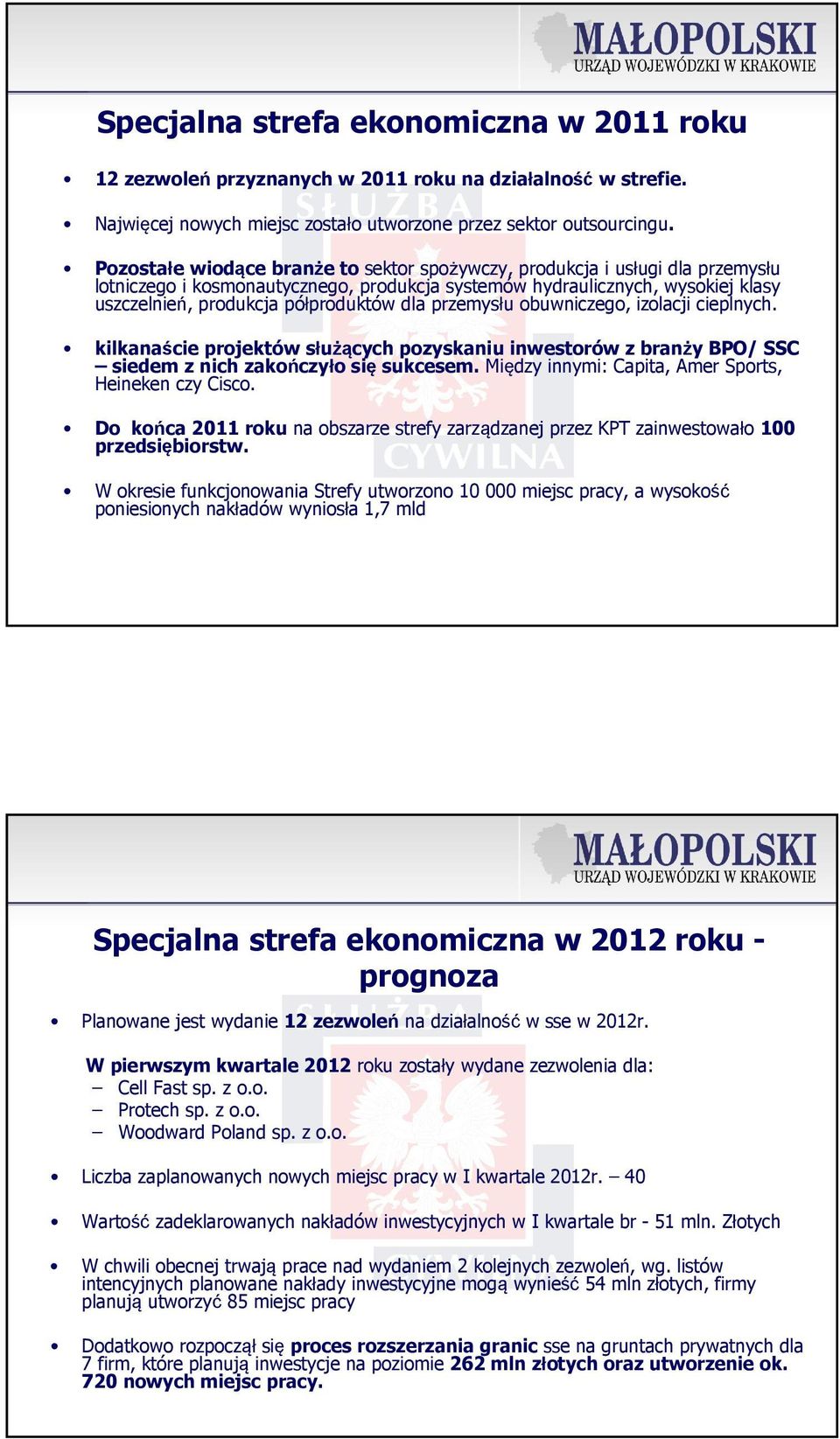 przemysłu obuwniczego, izolacji cieplnych. kilkanaście projektów służących pozyskaniu inwestorów z branży BPO/ SSC siedem z nich zakończyło się sukcesem.