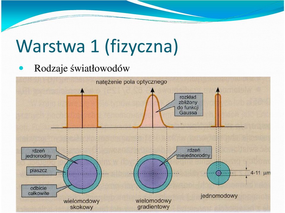 Rodzaje