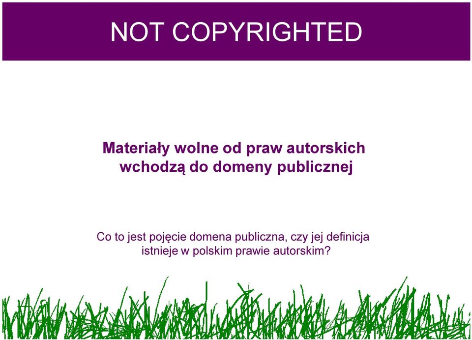 to jest pojęcie domena publiczna, czy jej