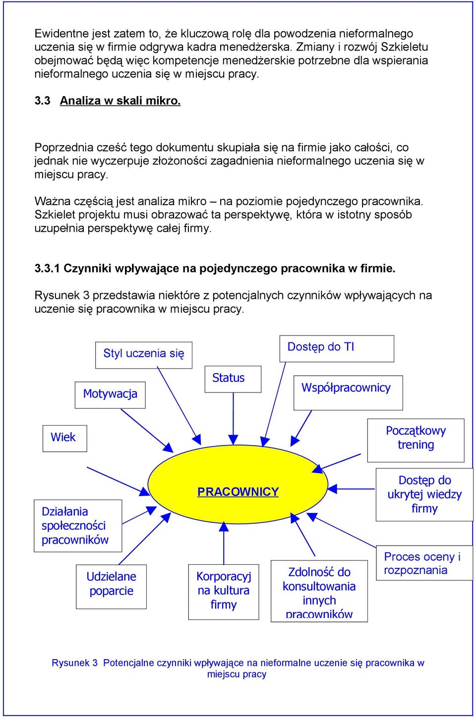 Poprzednia cześć tego dokumentu skupiała się na firmie jako całości, co jednak nie wyczerpuje złożoności zagadnienia nieformalnego uczenia się w miejscu pracy.