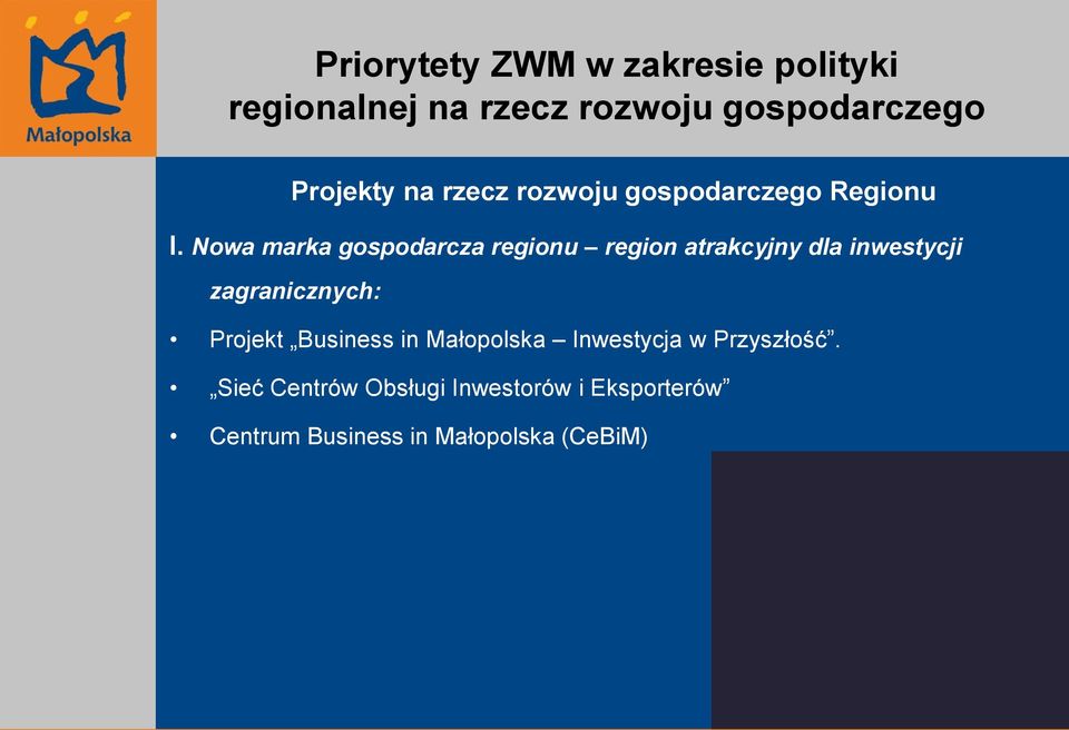 zagranicznych: Projekt Business in Małopolska Inwestycja w