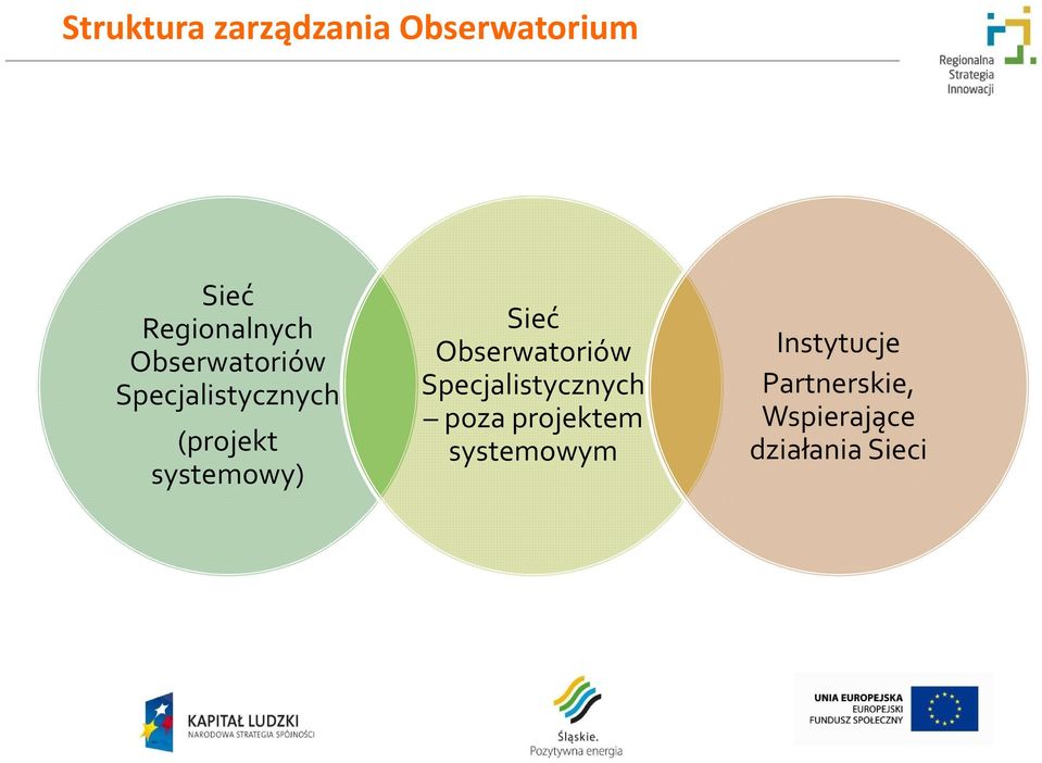 Sieć Obserwatoriów Specjalistycznych poza projektem