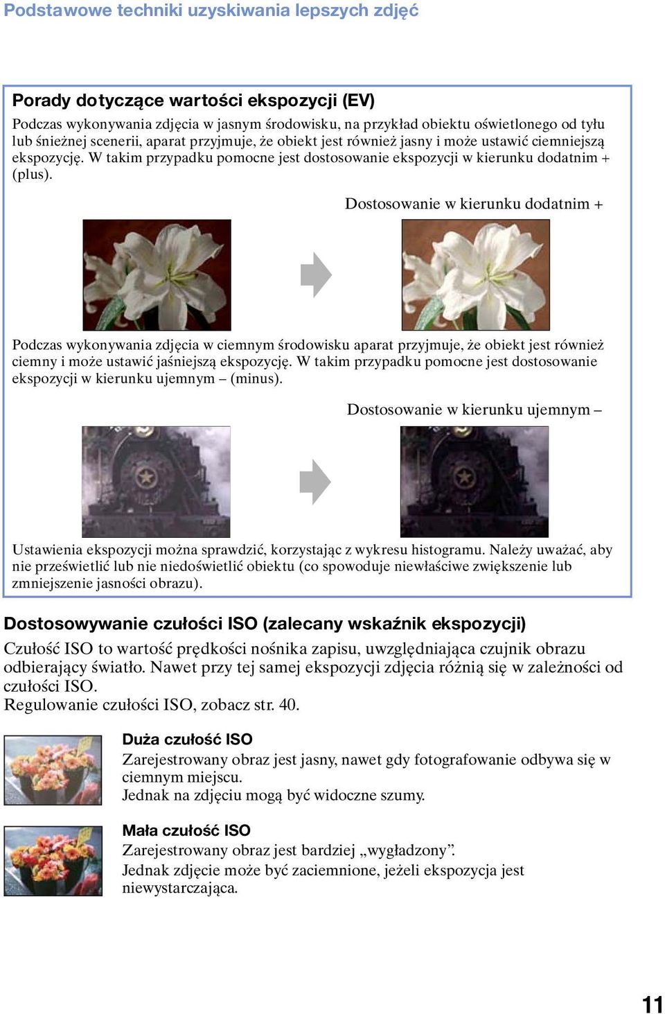 Dostosowanie w kierunku dodatnim + Podczas wykonywania zdjęcia w ciemnym środowisku aparat przyjmuje, że obiekt jest również ciemny i może ustawić jaśniejszą ekspozycję.