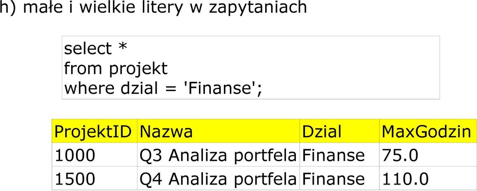 Nazwa Dzial MaxGodzin 1000 Q3 Analiza portfela