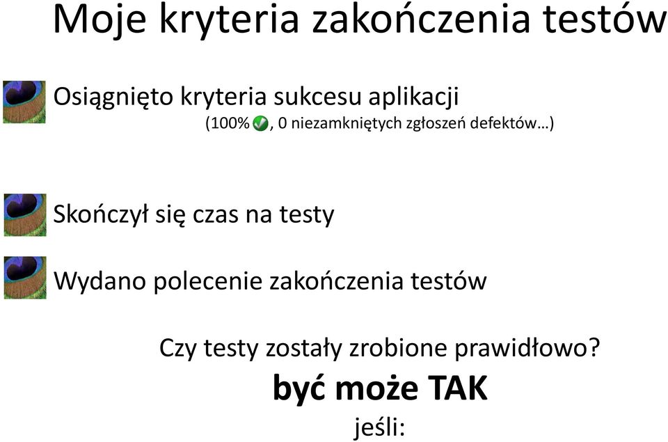 defektów ) Skończył się czas na testy Wydano polecenie