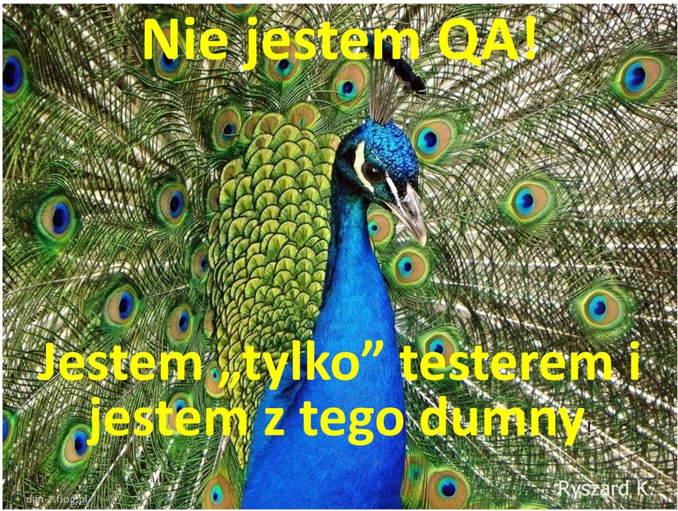 testerem i