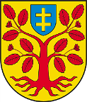 1 INFORMACJA O REALIZACJI ZADAŃ OŚWIATOWYCH W GMINIE ZBUCZYN W ROKU SZKOLNYM 2010/2011 1. Wstęp i metryczka gminy.