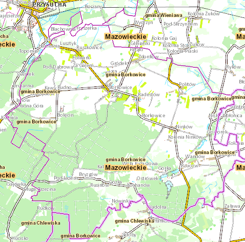 CHARAKTERYSTYKA SYTUACJI SPOŁECZNO-GOSPODARCZEJ I PRZESTRZENNEJ NA OBSZARZE GMINY BORKOWICE 1.