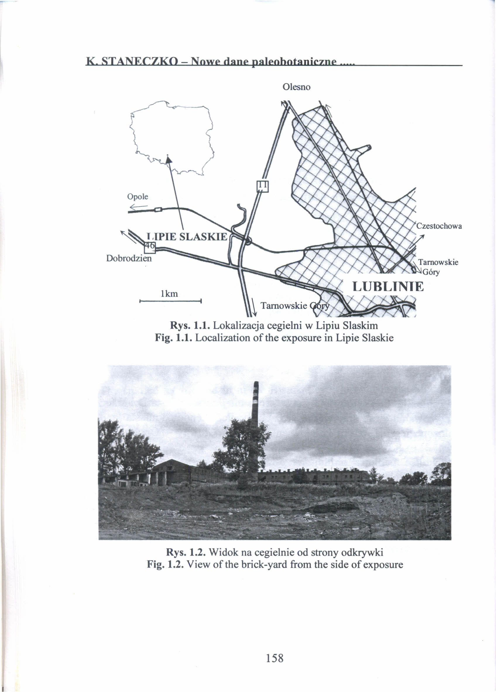 K STANECZKO Nowe dane paleobotaniczne Olesno lkm \ Tarnowskie Rys. 1.1. Lokalizacja cegielni w Lipiu Slaskim Fig. 1.1. Localization of the exposure in Lipie Slaskie Rys.