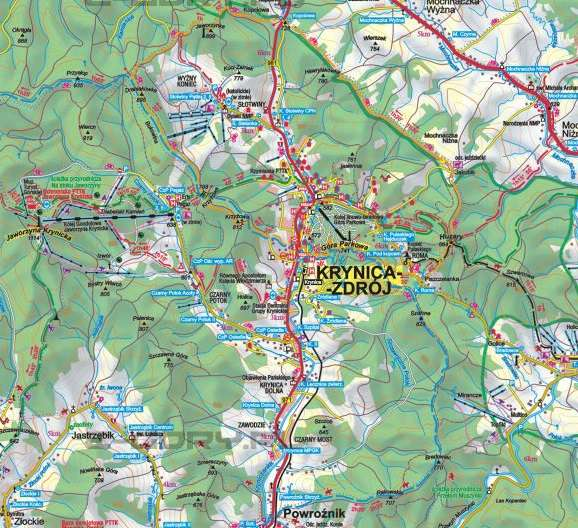 W latach 2007-2013 w Krynicy-Zdroju zanotowano dodatni przyrost naturalny, ale 2014 roku wskaźnik ten przyjął już wartości ujemne na poziomie -0,1, natomiast w całym badanym okresie saldo migracji