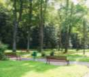 Rysunek 25. Archiwalne zdjęcia Parku Zdrojowego Źródło: Archiwum UM Krynica-Zdrój Rysunek 26. Park Zdrojowy współcześnie Źródło: Archiwum UM Krynica-Zdrój Park im.