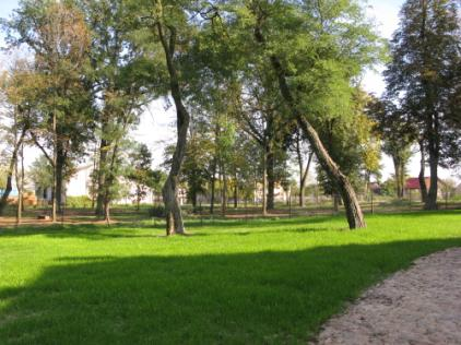 VI. ZADANIA INWESTYCYJNE I REMONTOWE DĄBROWA Adaptacja zespołu dworsko-parkowego na cele muzealne Drugi rok z kolei muzeum nie udało się (mimo składanych wniosków) pozyskać funduszy na dalszy etap