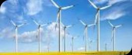 POZOSTAŁE obsługa odbiorców energii elektrycznej i usług dystrybucyjnych na rzecz spółek Grupy Kapitałowej TAURON świadczenie usług wsparcia dla podmiotów Grupy Kapitałowej TAURON w obszarach: