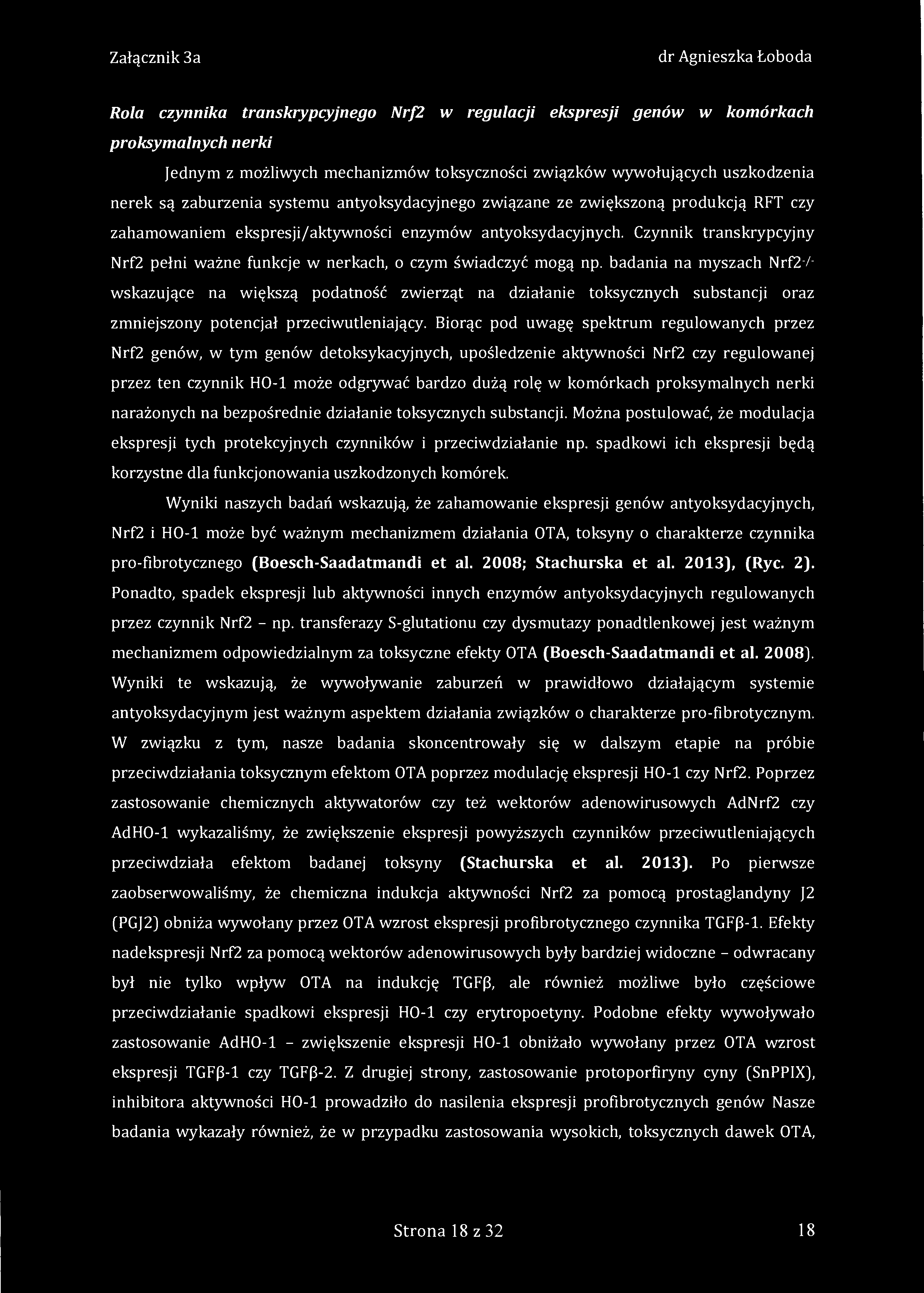 Rola czynnika transkrypcyjnego Nrf2 w regulacji ekspresji genów w komórkach proksymalnych nerki Jednym z możliwych mechanizmów toksyczności związków wywołujących uszkodzenia nerek są zaburzenia